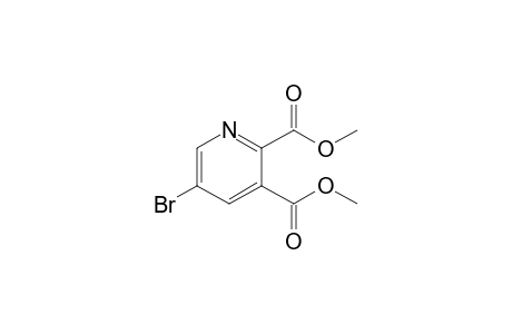 5-Bromopyridine-2,3-dicarboxylic Acid Dimethyl Ester