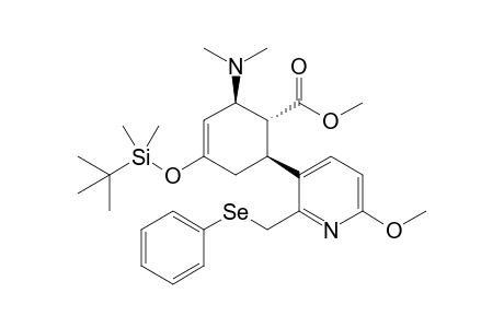 (1R*,2R*,6S*)-1-Methoxycarbonyl-4-(tert-butyldimethylsilyloxy)-2-(N,N-dimethylamino)-6-[6'-methoxy-2'-(phenylselenylmethyl)pyridine-3'-yl]cyclohex-3-ene