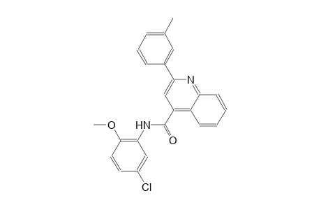 N-(5-chloro-2-methoxyphenyl)-2-(3-methylphenyl)-4-quinolinecarboxamide
