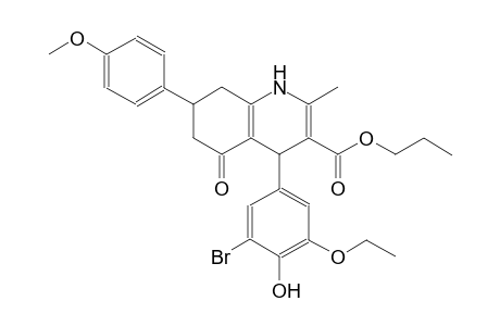 propyl 4-(3-bromo-5-ethoxy-4-hydroxyphenyl)-7-(4-methoxyphenyl)-2-methyl-5-oxo-1,4,5,6,7,8-hexahydro-3-quinolinecarboxylate