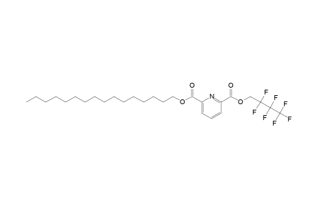 2,6-Pyridinedicarboxylic acid, 2,2,3,3,4,4,4-heptafluorobutyl hexadecyl ester