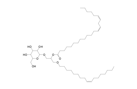 MGDG O-17:1_22:2