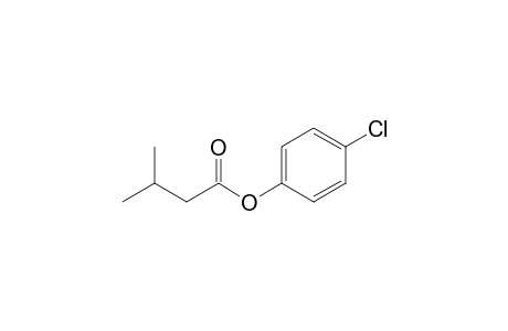 1,1-Dimethyl-2-[(4'-chlorophenoxy)carbonyl]ethane