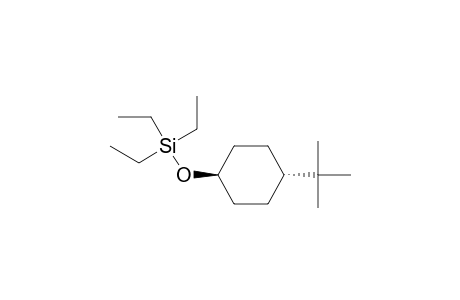 Silane, [[4-(1,1-dimethylethyl)cyclohexyl]oxy]triethyl-, trans-