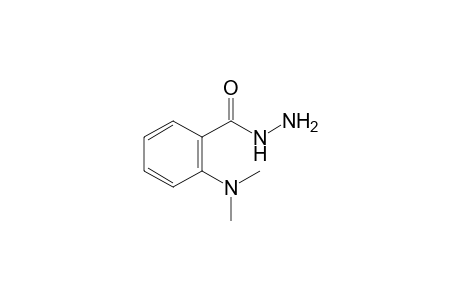 N,N-dimethylanthranilic acid, hydrazide