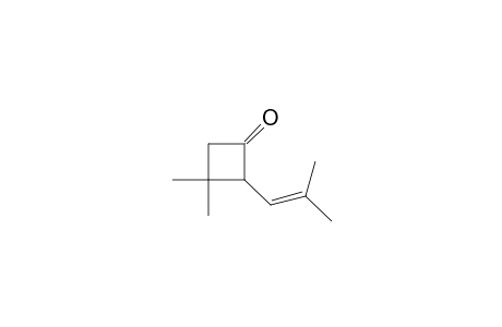 Cyclobutanone, 3,3-dimethyl-2-(2-methyl-1-propenyl)-