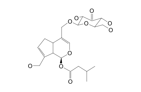 SERRULOSIDE