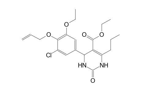 ethyl 4-[4-(allyloxy)-3-chloro-5-ethoxyphenyl]-2-oxo-6-propyl-1,2,3,4-tetrahydro-5-pyrimidinecarboxylate