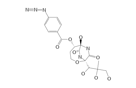 C-(5)-NORBICYCLOMYCIN_C-(5)-O-4-(AZIDOBENZOATE)