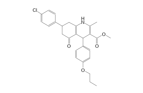 methyl 7-(4-chlorophenyl)-2-methyl-5-oxo-4-(4-propoxyphenyl)-1,4,5,6,7,8-hexahydro-3-quinolinecarboxylate