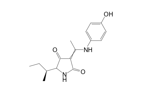 (5RS,6S)-5-sec-Butyl-3-[1-(4-hydroxyphenyl)amino]ethylidene-1H-pyrrolidine-2,4-dione