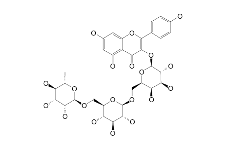 KAEMPFEROL-3-O-ALPHA-RHAMNOPYRANOSYL-(1->6)-BETA-GLUCOPYRANOSYL-(1->6)-BETA-GALACTOPYRANOSIDE