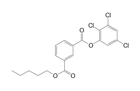 Isophthalic acid, pentyl 2,3,5-trichlorophenyl ester