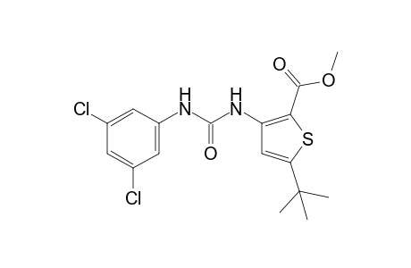 5-tert-butyl-3-[3-(3,5-dichlorophenyl)ureido]-2-thiophenecarboxylic acid, methyl ester
