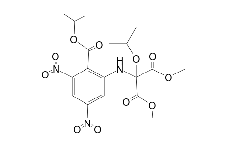 Isopropyl 2-[N-(isopropoxy)(dimethoxycarbonyl)methylamino]-4,6-dinitrobenzoate