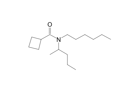 Cyclobutanecarboxamide, N-(2-pentyl)-N-hexyl-