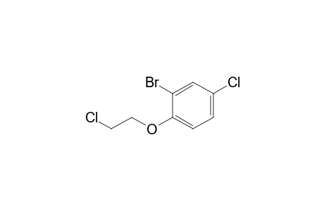 2-bromanyl-4-chloranyl-1-(2-chloroethyloxy)benzene