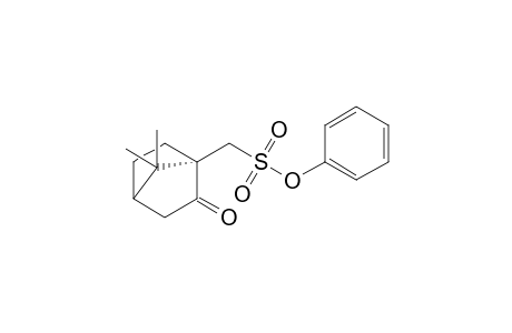 (1S)-(7,7-Dimethyl-2-oxobicyclo[2.2.1]hept-1-yl)methane sulfonic acid phenyl ester
