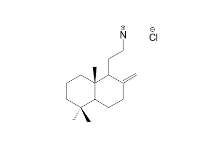 13,14,15,16-tetranorlabd-8(17)-en-12-amine hydrochloride