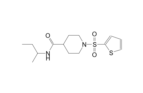N-(sec-butyl)-1-(2-thienylsulfonyl)-4-piperidinecarboxamide