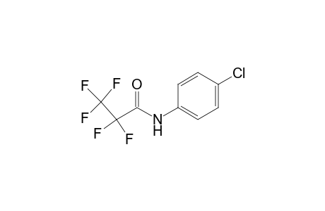 N-(4-chlorophenyl)-2,2,3,3,3-pentafluoro-propanamide