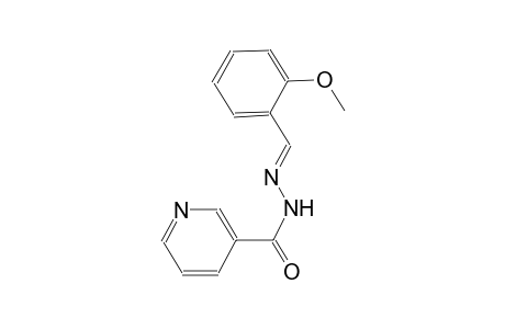 N'-[(E)-(2-methoxyphenyl)methylidene]nicotinohydrazide