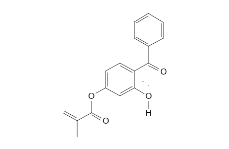 2,4-DIHYDROXYBENZOPHENONE, 4-METHACRYLATE
