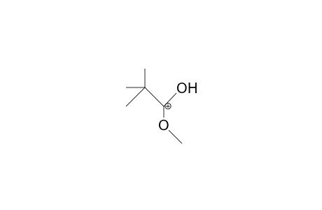 Methyl pivalate cation