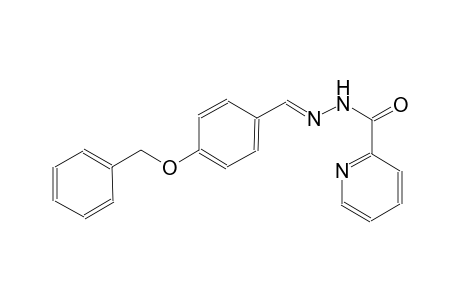 N'-{(E)-[4-(benzyloxy)phenyl]methylidene}-2-pyridinecarbohydrazide