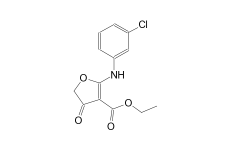 ethyl 2-(3-chloroanilino)-4-oxo-4,5-dihydro-3-furancarboxylate
