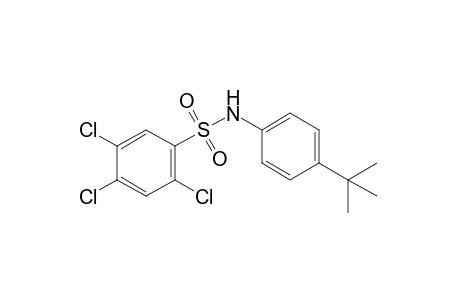 4'-tert-butyl-2,4,5-trichlorobenzenesulfonanilide