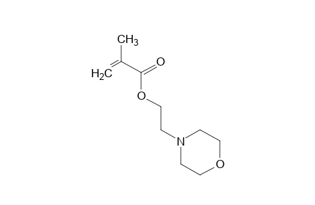2-N-MORPHOLINOETHYL METHACRYLATE
