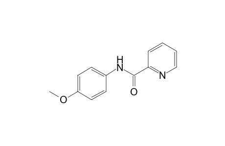 N-(4-Methoxyphenyl)picolinamide
