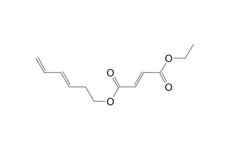 Ethyl (E)-hexa-3,5-dien-1-yl fumarate