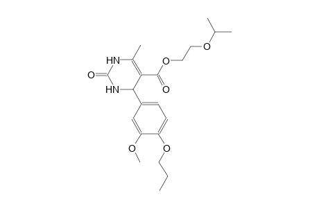 5-pyrimidinecarboxylic acid, 1,2,3,4-tetrahydro-4-(3-methoxy-4-propoxyphenyl)-6-methyl-2-oxo-, 2-(1-methylethoxy)ethyl ester