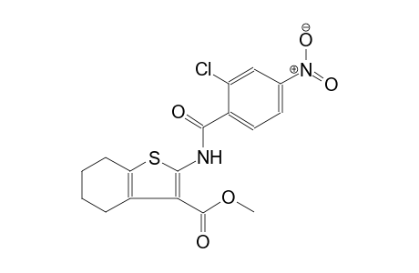 benzo[b]thiophene-3-carboxylic acid, 2-[(2-chloro-4-nitrobenzoyl)amino]-4,5,6,7-tetrahydro-, methyl ester