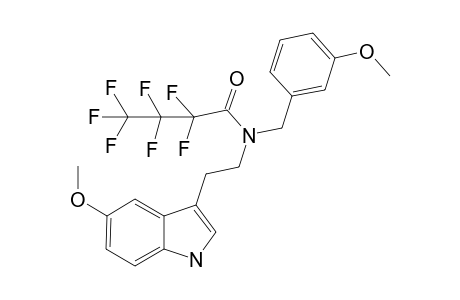 5MT-NB3OMe HFB