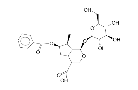 7-O-BENZOYLLOGANIC ACID