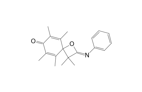 3,3,5,6,8,9-Hexamethyl-2-(phenylimino)-1-oxaspiro[3.5]nona-5,8-dien-7-one