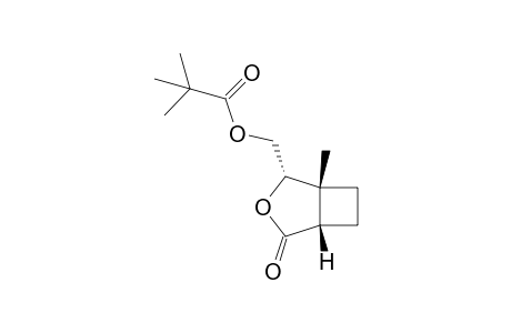 [(1S,4S,5R)-5-methyl-2-oxidanylidene-3-oxabicyclo[3.2.0]heptan-4-yl]methyl 2,2-dimethylpropanoate