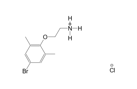 ethanaminium, 2-(4-bromo-2,6-dimethylphenoxy)-, chloride