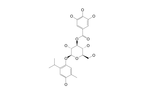 ISOQUERGLANIN;2-ISO-PROPYL-4-HYDROXYL-5-METHYL-PHENOL-1-O-BETA-D-(3'-O-GALLOYL)-GLUCOPYRANOSIDE