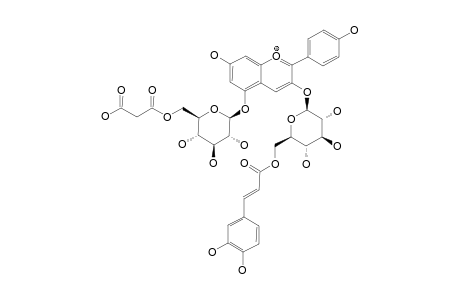 PELARGONIDIN-3-O-(6-O-CAFFEOYL-BETA-D-GLUCOPYRANOSIDE)-5-O-(6-O-MALONYL-BETA-D-GLUCOPYRANOSIDE)