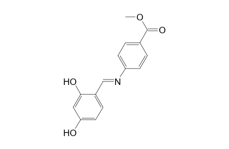 Methyl 4-([(E)-(2,4-dihydroxyphenyl)methylidene]amino)benzoate