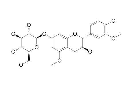 GLOCHIFLAVANOSIDE-A;(2R,3S)-3,7,4'-TRIHYDROXY-5,3'-DIMETHOXYFLAVAN-7-O-BETA-D-GLUCOPYRANOSIDE