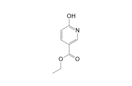 6-Hydroxynicotinic acid, ethyl ester