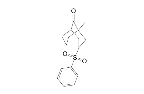 endo- and exo-1-Methyl-3-(phenylsulfonyl)bicyclo[3.3.1]nonan-9-one