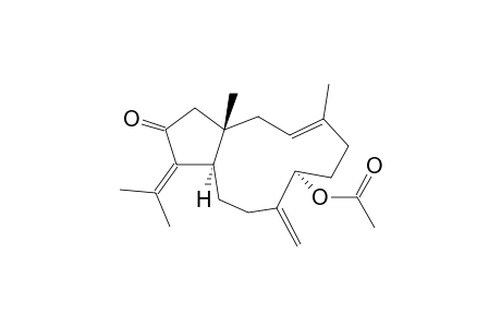 7(R*)-Acetoxy-13-keto-(1S*,11R*)-dolabella-3(E),8(17),12(18)-triene