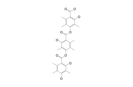 THIELAVIN-P;4-[4'-(2'',4''-DIHYDROXY-3'',5'',6''-TRIMETHYLBENZOYLOXY)-3',5',6'-TRIMETHYL-2'-HYDROXYBENZOYLOXY]-2-HYDROXY-3,5,6-TRIMETHYLBENZOIC-ACID