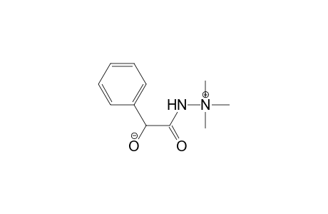Hydrazinium, 2-(hydroxyphenylacetyl)-1,1,1-trimethyl-, hydroxide, inner salt
